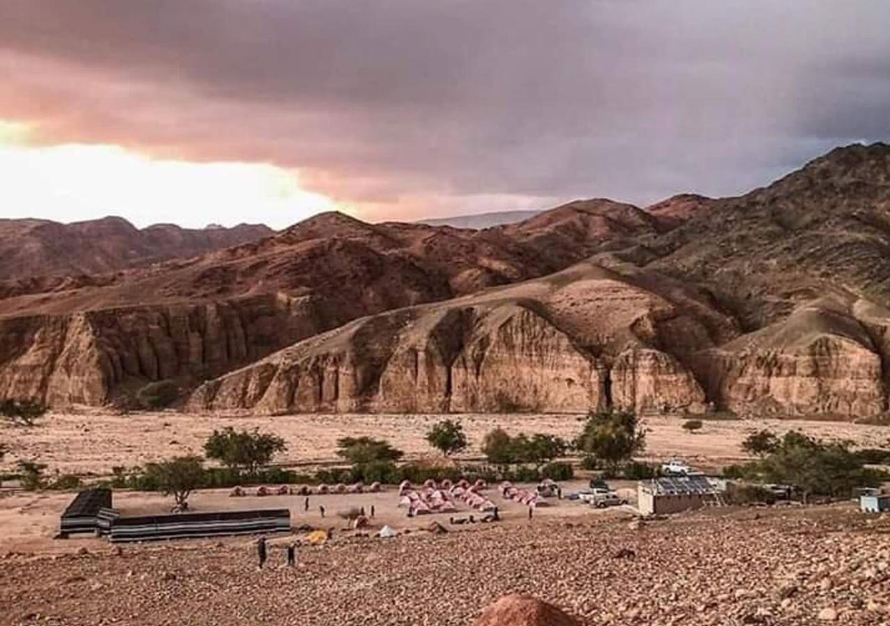 מלון Feynan Wadi Ghwere Camp مخيم وادي الغوير מראה חיצוני תמונה