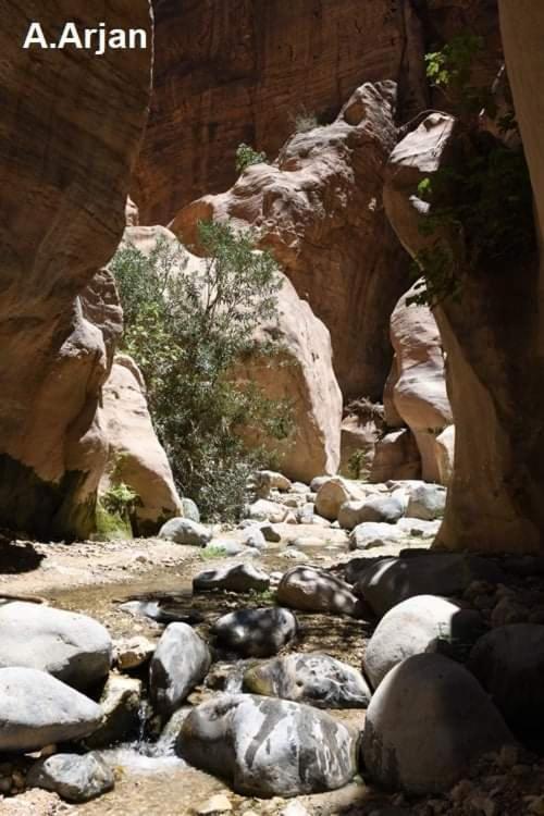 מלון Feynan Wadi Ghwere Camp مخيم وادي الغوير מראה חיצוני תמונה