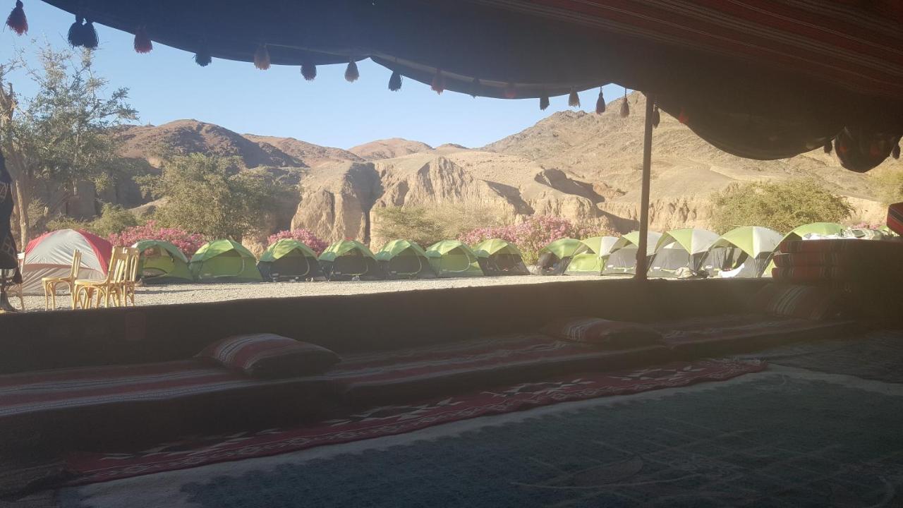 מלון Feynan Wadi Ghwere Camp مخيم وادي الغوير מראה חיצוני תמונה